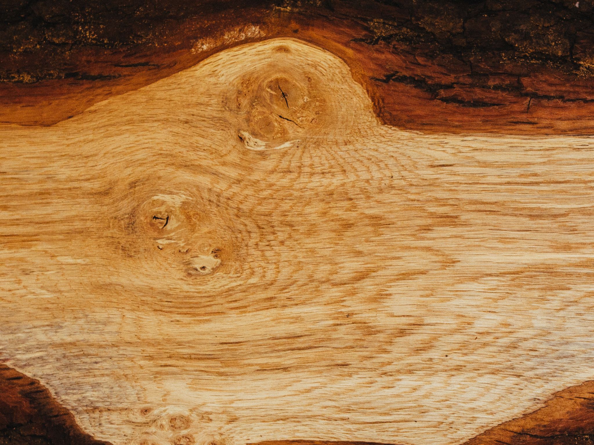 Masivní dřevo před opracováním fošna